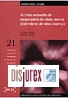 Accin sumaria de suspensin de obra nueva (interdicto de obra nueva) - LEC 2000 (3 Edicin)
