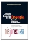 Cuestiones Actuales del Derecho de la Energa: Regulacin, Competencia y Control Judicial
