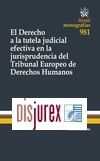 El derecho a la tutela judicial efectiva en la Jurisprudencia del Tribunal Europeo de Derechos Humanos 