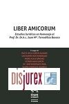 Liber Amicorum. Estudios Jurdicos en Homenaje al Prof. Dr. Dr. h.c. Juan M. Terradillos Basoco