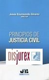 Principios de justicia civil