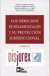 Los Derechos Fundamentales y su protección Jurisdiccional 2017