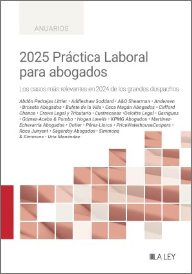 2025 Práctica Laboral para abogados