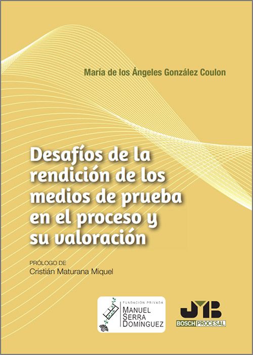 Desafíos de la rendición de los medios de prueba en el proceso y su valoración