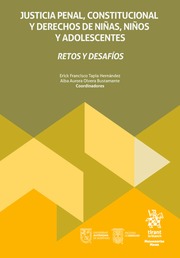 Justicia penal, constitucional y derechos de niñas, niños y adolescentes. Retos y desafíos