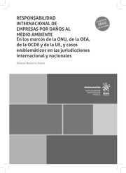 Responsabilidad Internacional de Empresas por Daños al Medio Ambiente