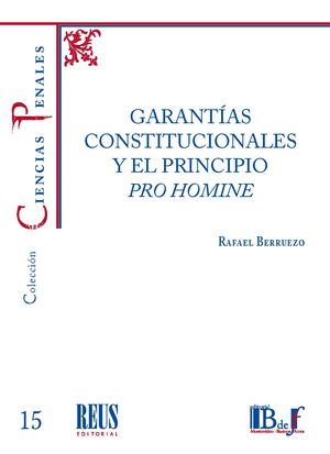 Garantías constitucionales y el principio pro homine