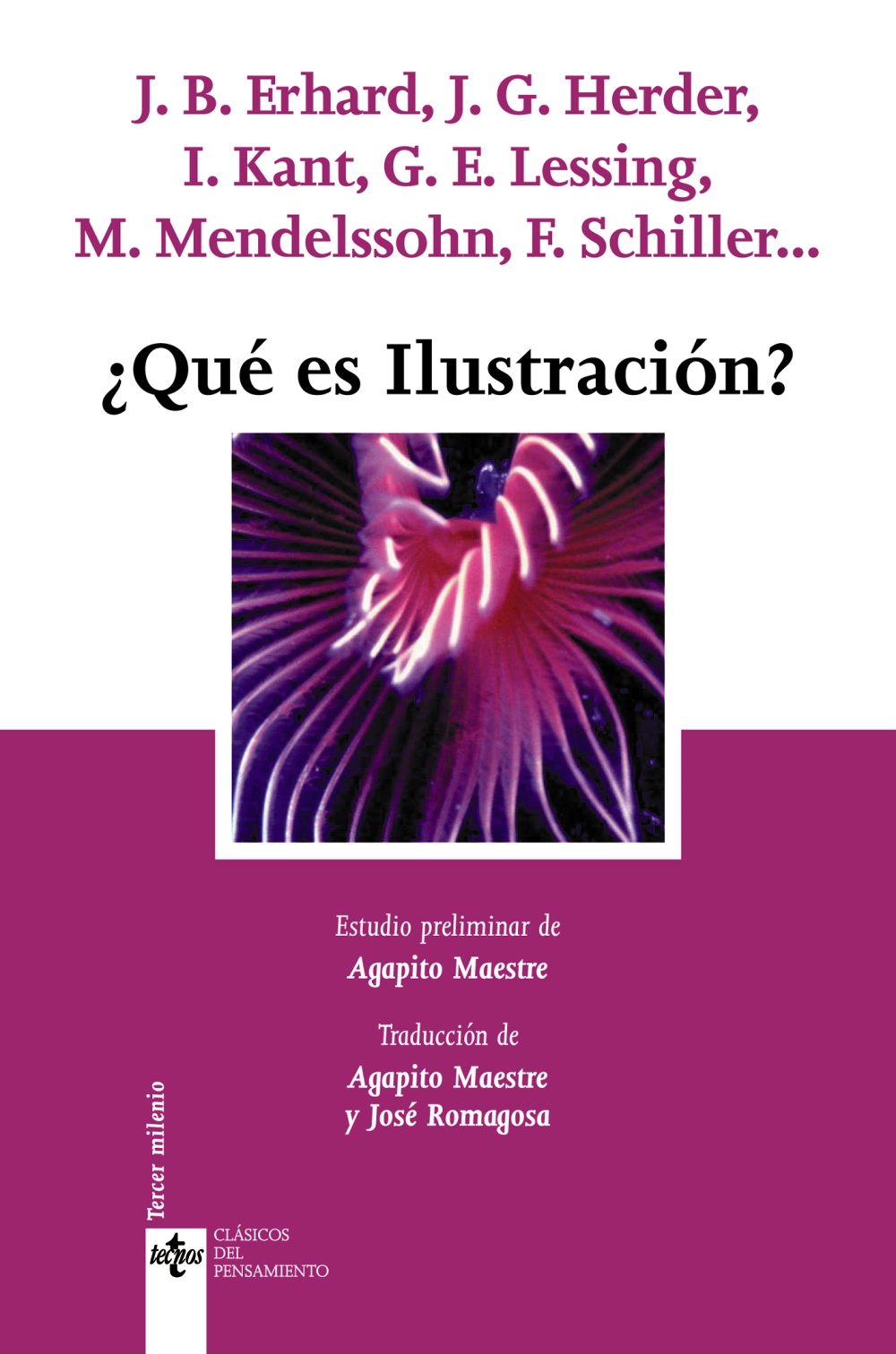 ¿Qué es Ilustración?