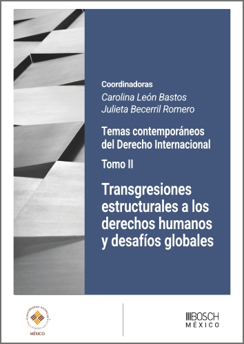Transgresiones estructurales a los derechos humanos y desafíos globales