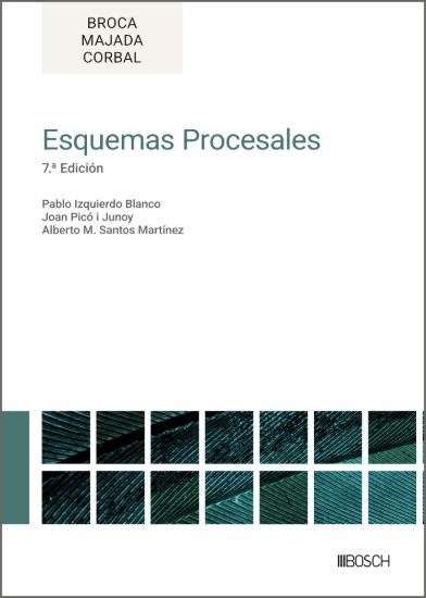 Esquemas procesales
