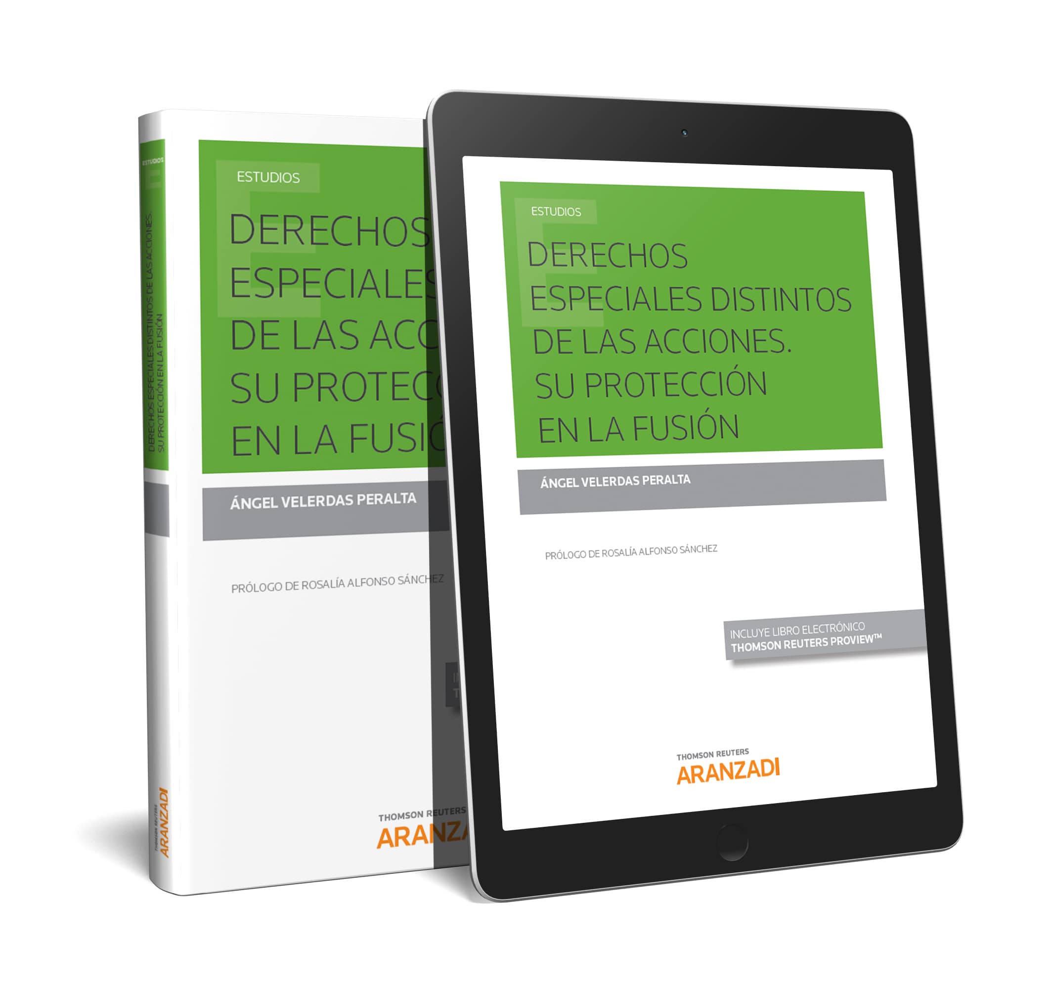 Derechos especiales distintos de las acciones - Su protección en la fusión