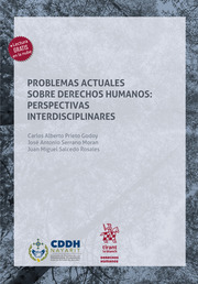 Problemas actuales sobre derechos humanos: perspectivas interdisciplinares