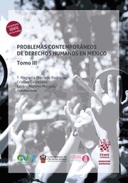 Problemas contemporáneos de derechos humanos en México. Tomo III