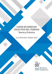 Curso de Derecho Colectivo del Trabajo Teoría y Práctica