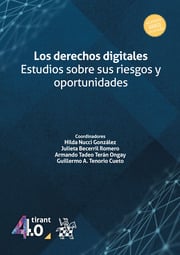Derechos digitales, Los Estudios sobre sus riesgos y oportunidades