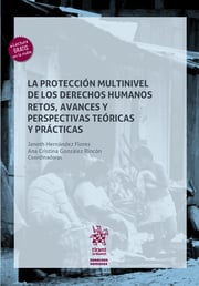 La protección multinivel de los derechos humanos: Retos, avances y perspectivas teóricas y prácticas