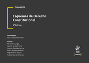 Esquemas XXII de derecho constitucional