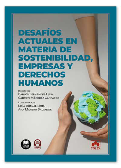 Desafíos actuales en materia de sostenibilidad, empresas y derechos humanos