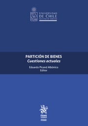Partición de bienes. Cuestiones actuales