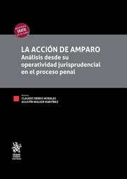 La acción de amparo. Análisis desde su operatividad jurisprudencial en el proceso penal