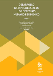 Desarrollo jurisprudencial de los derechos humanos en México, El Tomo I