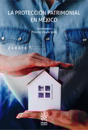 La protección patrimonial en méxico