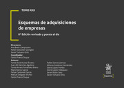Tomo XXX Esquemas de adquisiciones de empresas 8ª Edición revisada y puesta al día