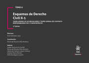 Tomo LI Esquemas de Derecho Civil II-1 Teoría general de las obligaciones y teoría general del contrato. Responsabilidad civil y cuasicontratos 3ª Edición
