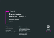 Tomo LII Esquemas de Derecho Civil II-2 Derecho de contratos 4ª Edición4ª Edición