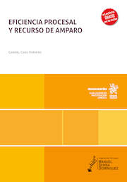 Eficiencia procesal y recurso de amparo