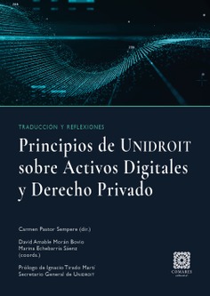 Principios de UNIDROIT sobre activos digitales y Derecho privado