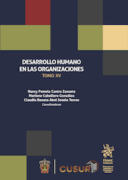 Desarrollo humano en las organizaciones Tomo XV
