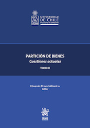 Partición de bienes. Cuestiones actuales Tomo II
