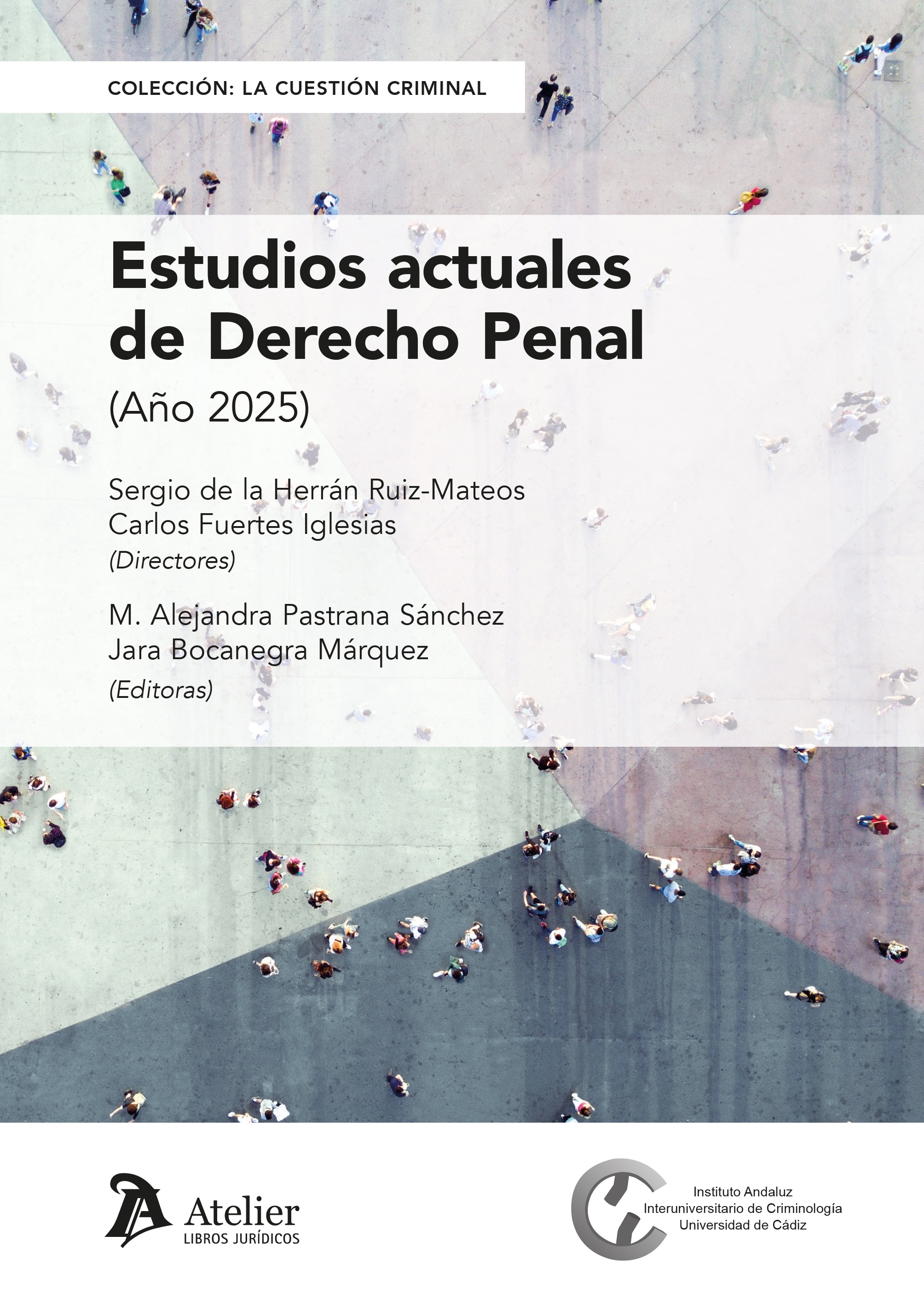 Estudios actuales de Derecho penal (Año 2025)
