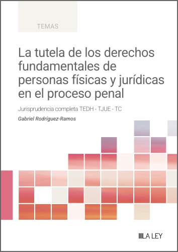 La tutela de los derechos fundamentales de personas físicas y jurídicas en el proceso penal