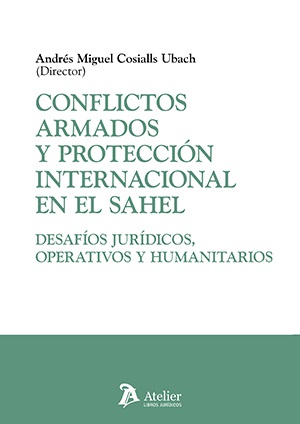 Conflictos armados y protección internacional en el Sahel: desafíos jurídicos, operativos y humanitarios
