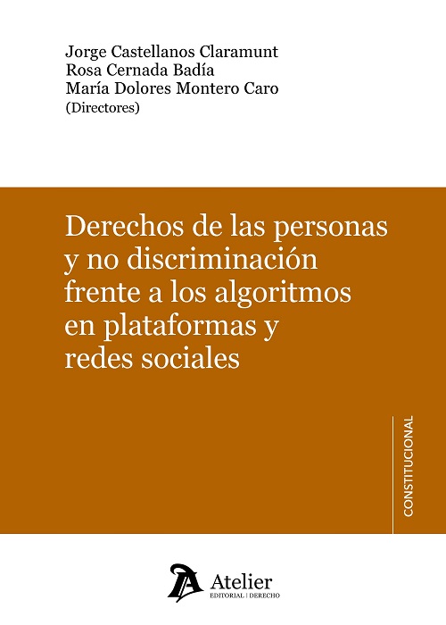Derechos de las personas y no discriminación frente a los algoritmos en plataformas y redes sociales