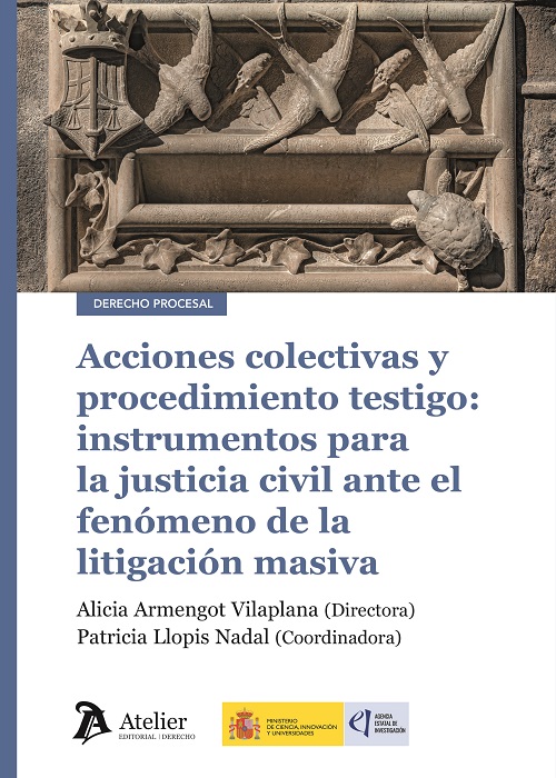 Acciones colectivas y procedimiento testigo: instrumentos para la justicia civil ante el fenómeno de la litigación masiva