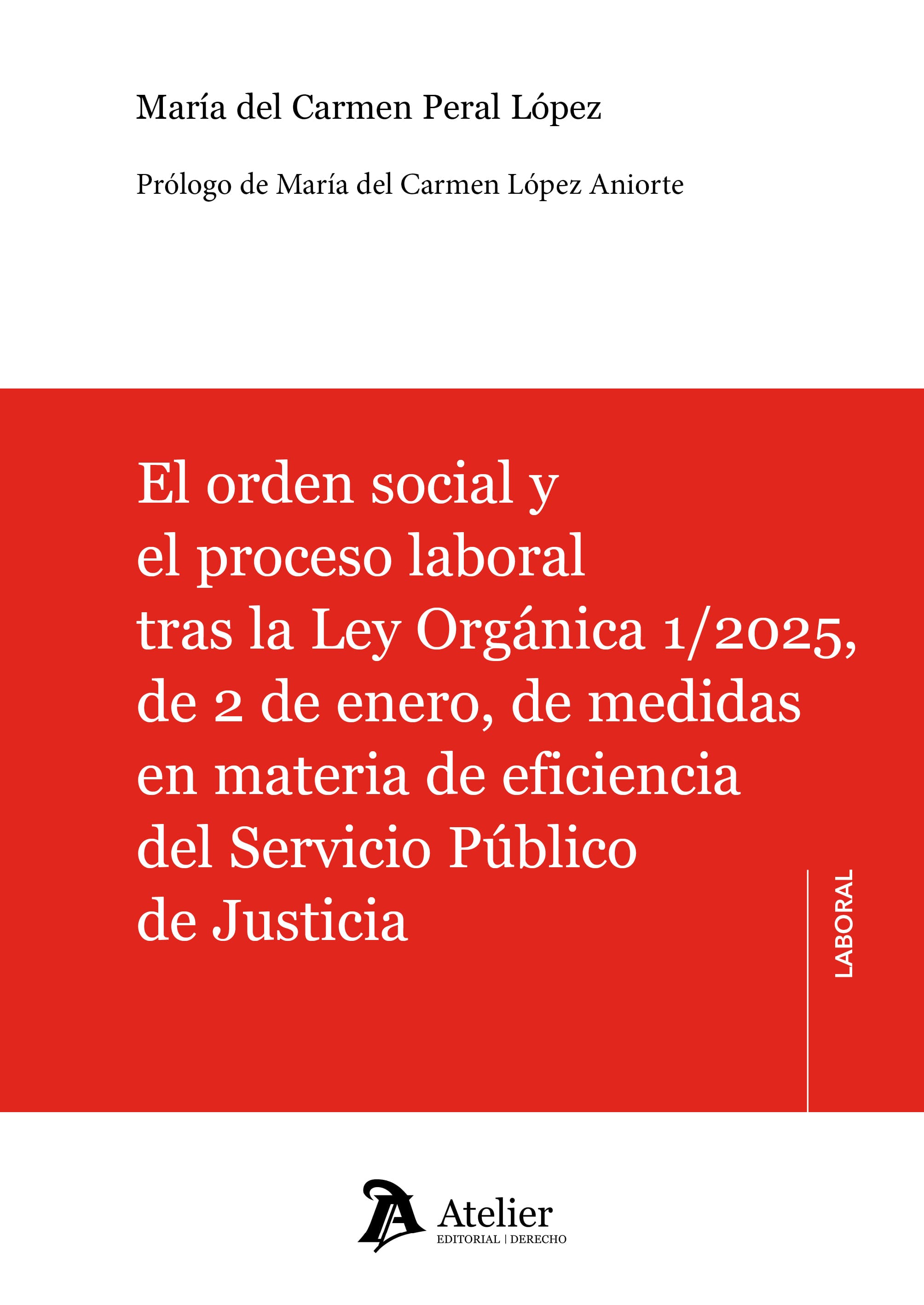 El orden social y el proceso laboral tras la Ley Orgánica 1/2025, de 2 de enero, de medidas en materia de eficiencia del Servicio Público de Justicia