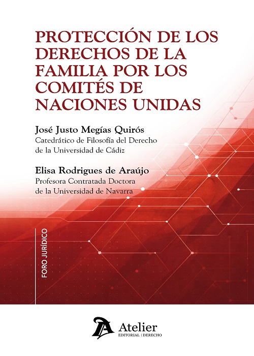 Protección de los derechos de la familia por los comités de Naciones Unidas