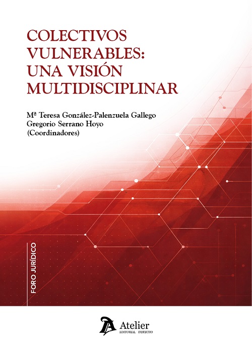 Colectivos vulnerables: una visión multidisciplinar