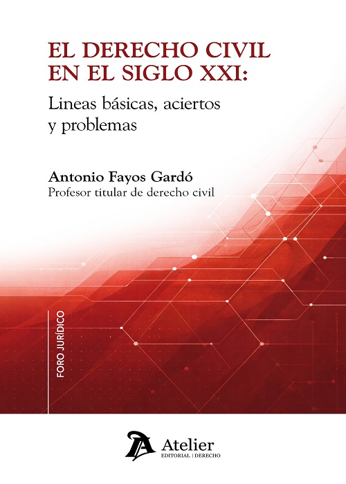 El derecho civil en el siglo XXI: