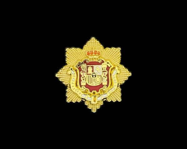 Insignia solapa Notario